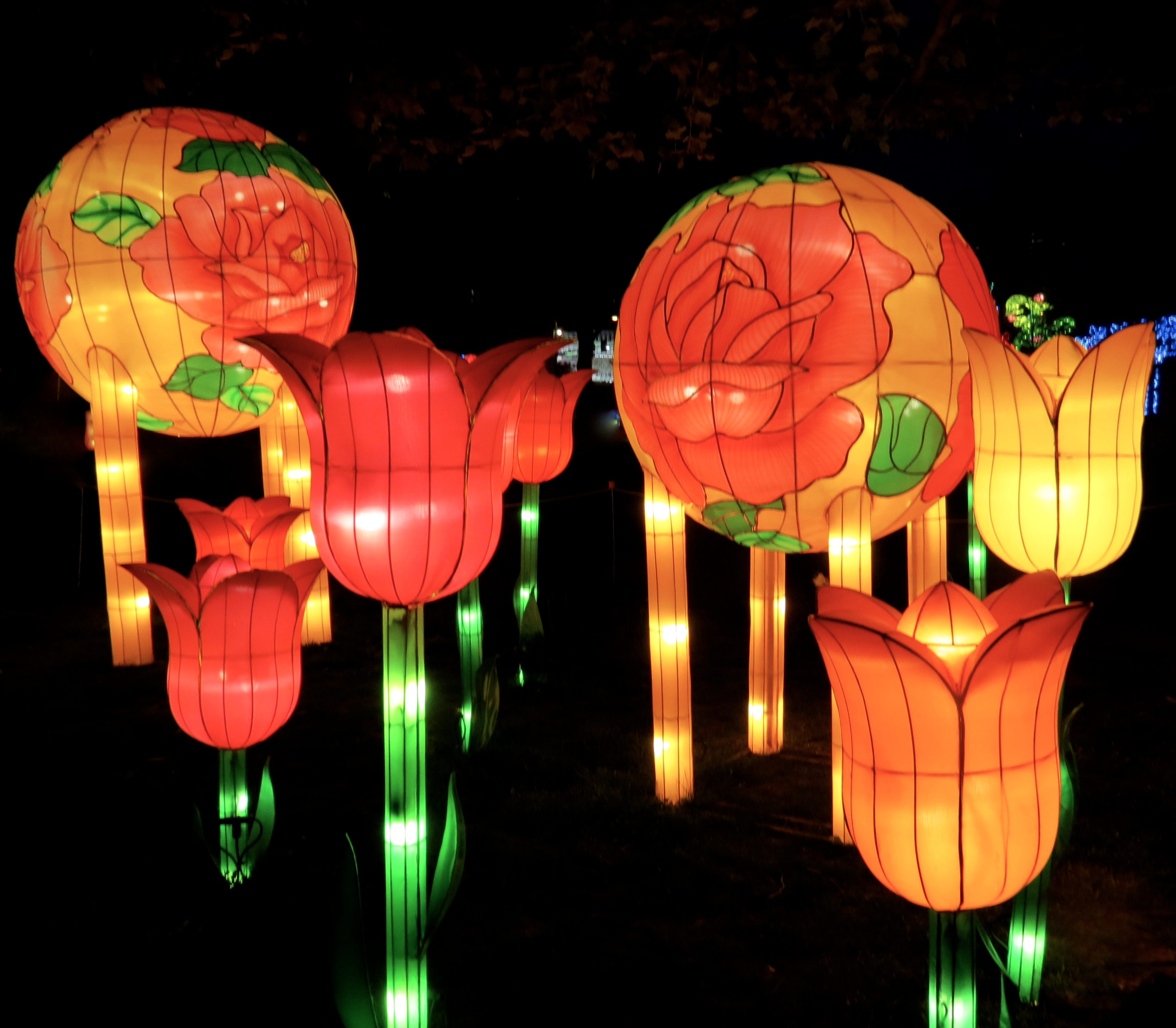 Chinese Lantern Festival Lights Up Franklin Square | Psalmboxkey's Blog
