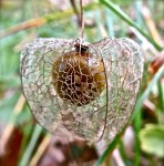 IMG_0136 – Version&nbsp;2